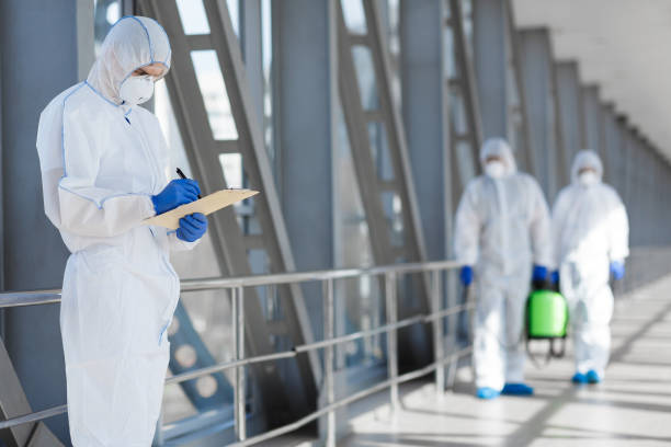 Best Emergency Mold Remediation  in Fort Totten, ND