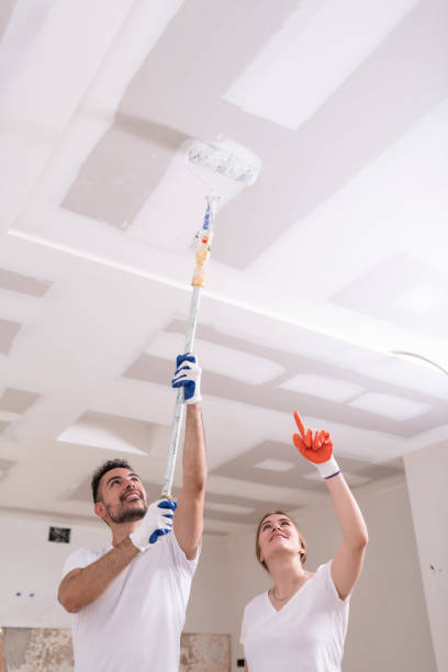 Best Commercial Mold Inspection  in Fort Totten, ND