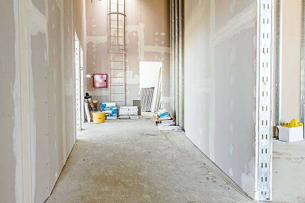 Best Black Mold Removal  in Fort Totten, ND