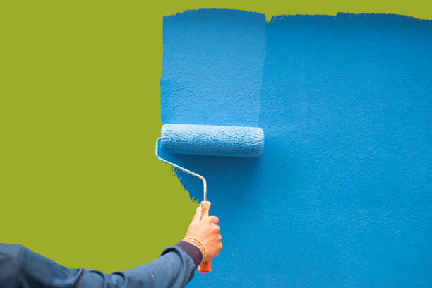 Fort Totten, ND Mold Removal Company