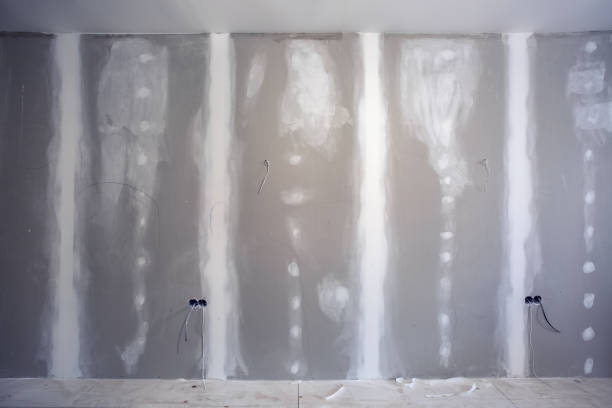 Best Comprehensive Air Testing for Mold Contaminants  in Fort Totten, ND